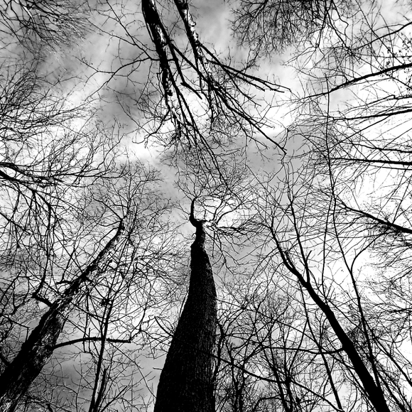 Meet your Posher, Liz - Picture 2 of 2